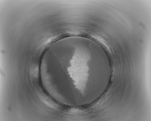 X0000091350596200708101532