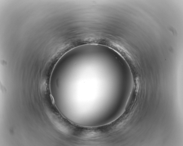 X0000091350597200708101532