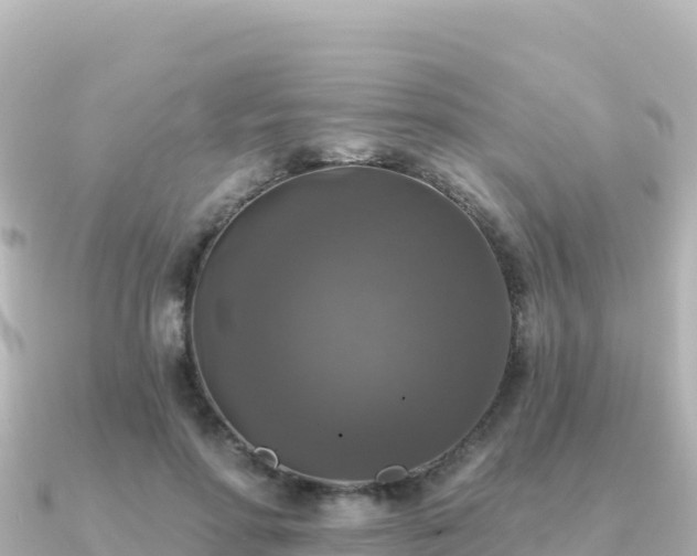 X0000091350598200708101532