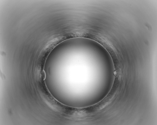 X0000091350599200708101532