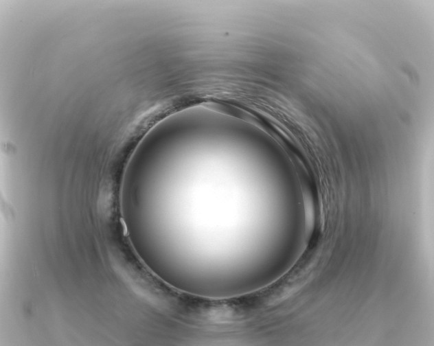 X0000091350600200708101532