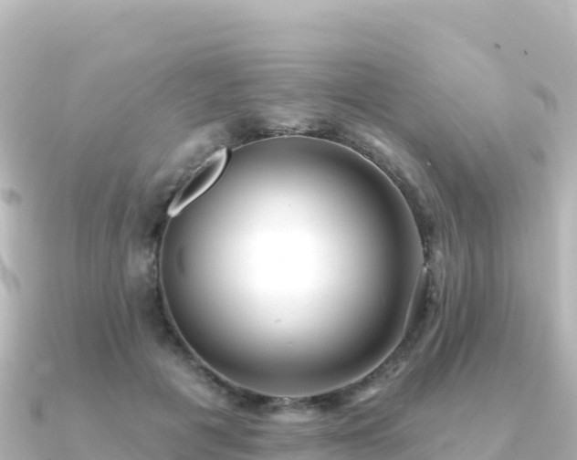 X0000091350601200708101531