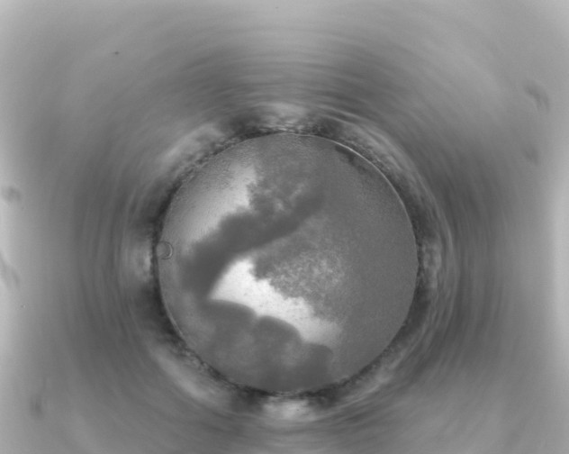 X0000091350602200708101531