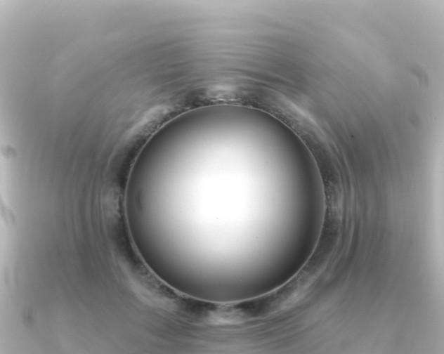 X0000091350603200708101531