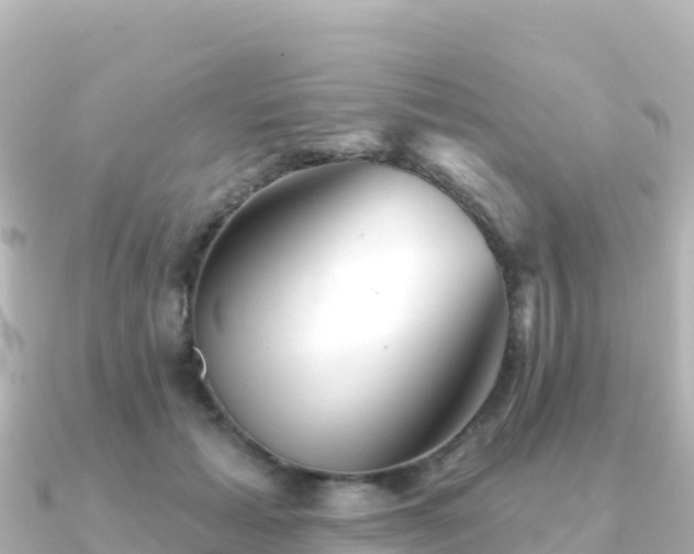 X0000091350605200708101531