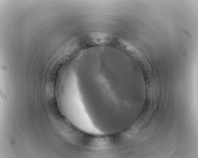 X0000091350606200708101531