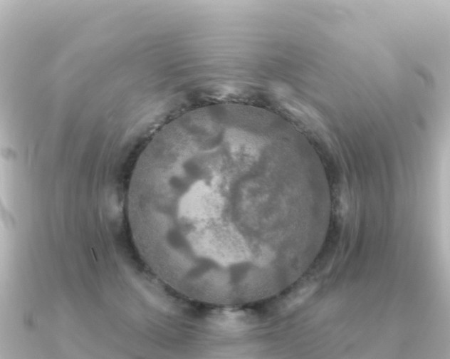 X0000091350607200708101531