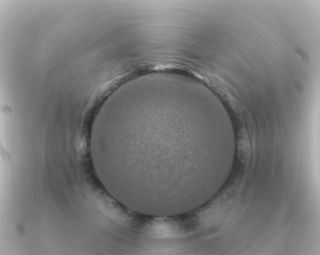 X0000091350608200708101531