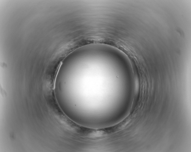 X0000091350609200708101531