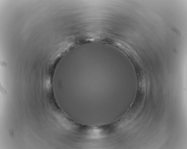 X0000091350610200708101531