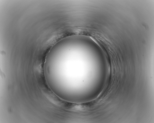 X0000091350611200708101531