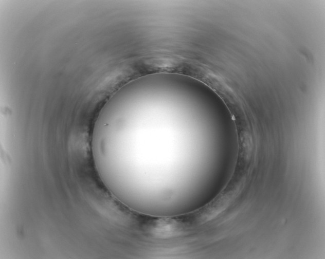 X0000091350612200708101531