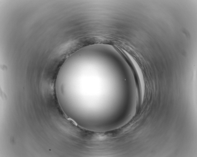 X0000091350613200708101531