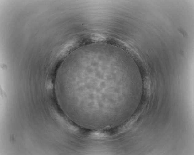 X0000091350614200708101531