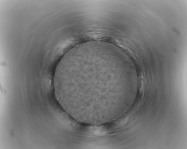 X0000091350615200708101531