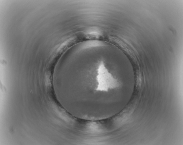 X0000091350616200708101531