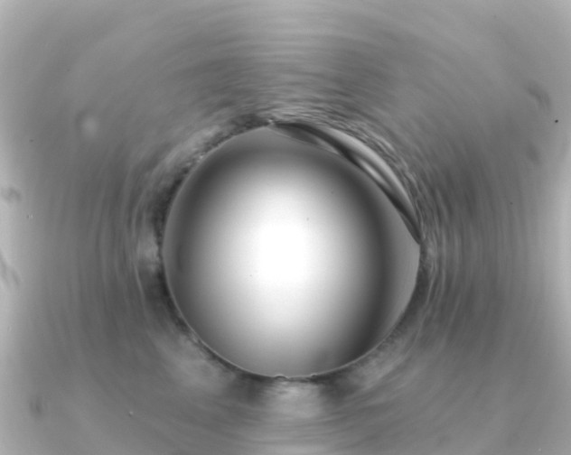 X0000091350617200708101531