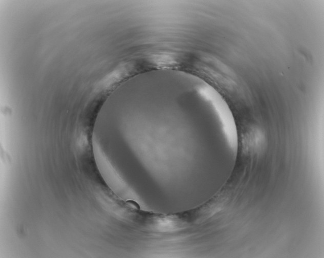 X0000091350618200708101531