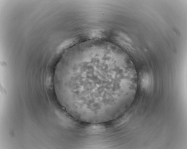 X0000091350619200708101531