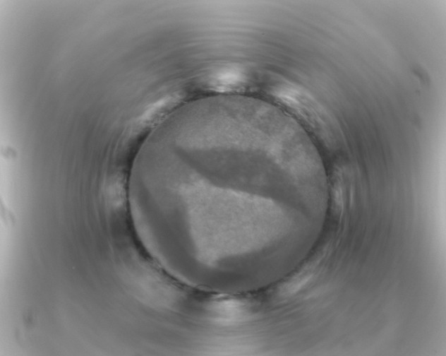 X0000091350620200708101531