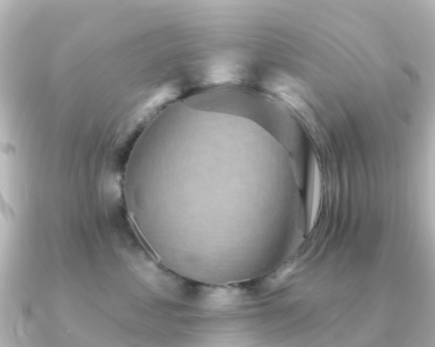 X0000091350621200708101531