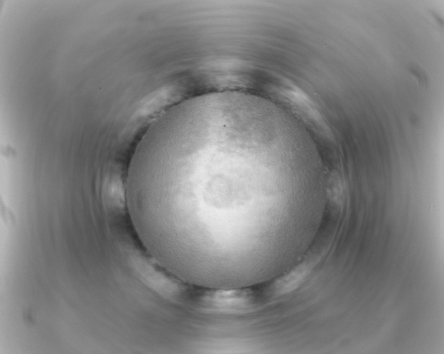 X0000091350622200708101531