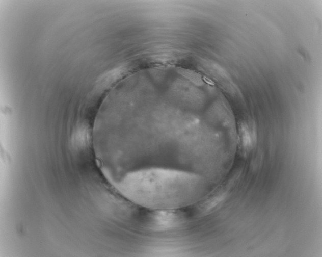 X0000091350623200708101531