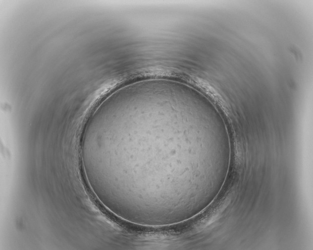 X0000091350625200708101531