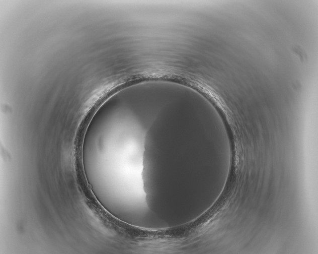 X0000091350626200708101531