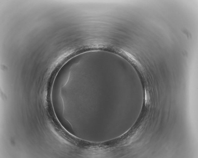X0000091350627200708101531