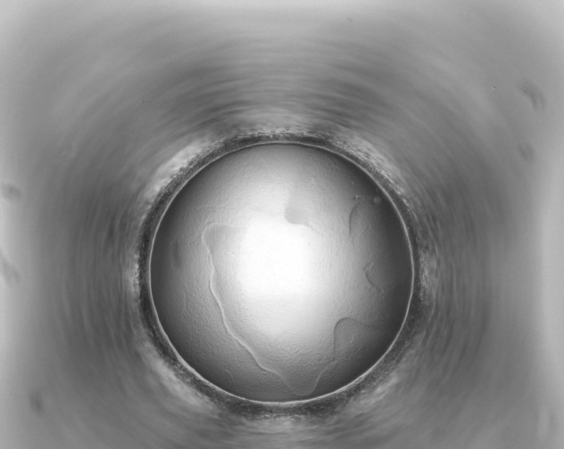 X0000091350629200708101531