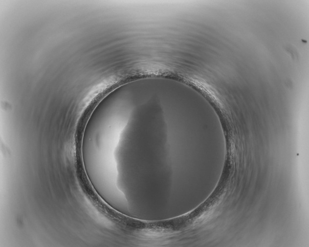 X0000091350630200708101531