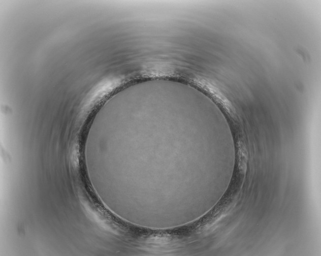 X0000091350631200708101531