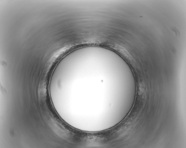 X0000091350632200708101531