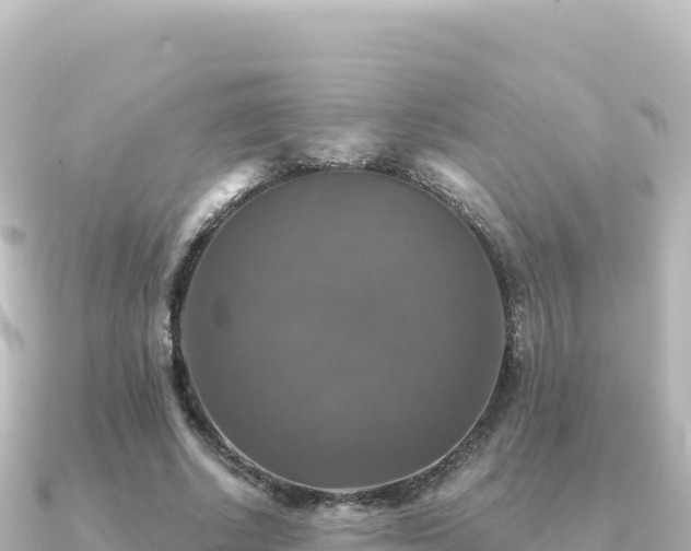 X0000091350634200708101531