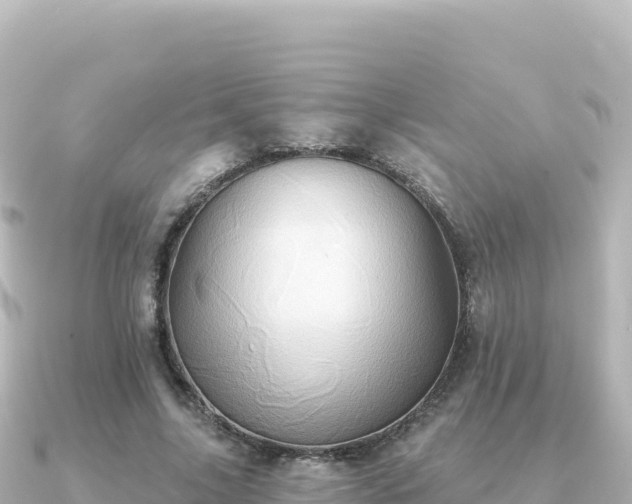 X0000091350635200708101531
