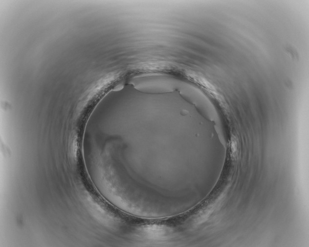 X0000091350637200708101531
