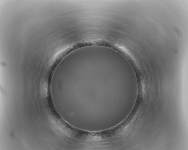 X0000091350640200708101531