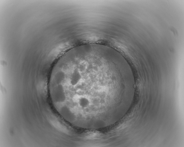 X0000091350642200708101531