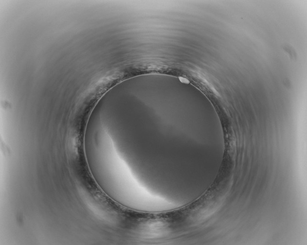 X0000091350643200708101531