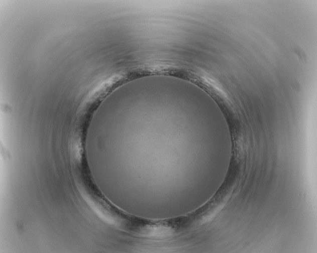 X0000091350644200708101531