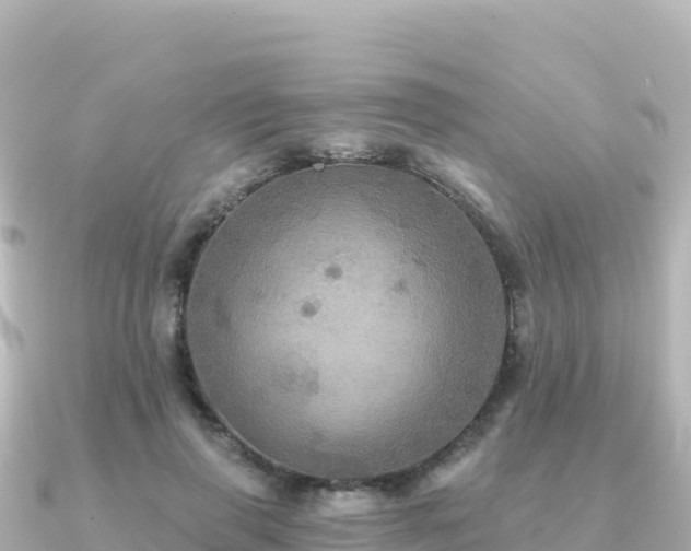 X0000091350645200708101531