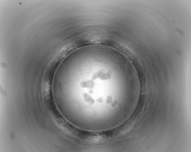 X0000091350646200708101531