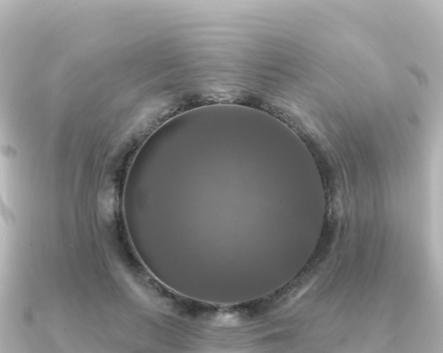 X0000091350647200708101531