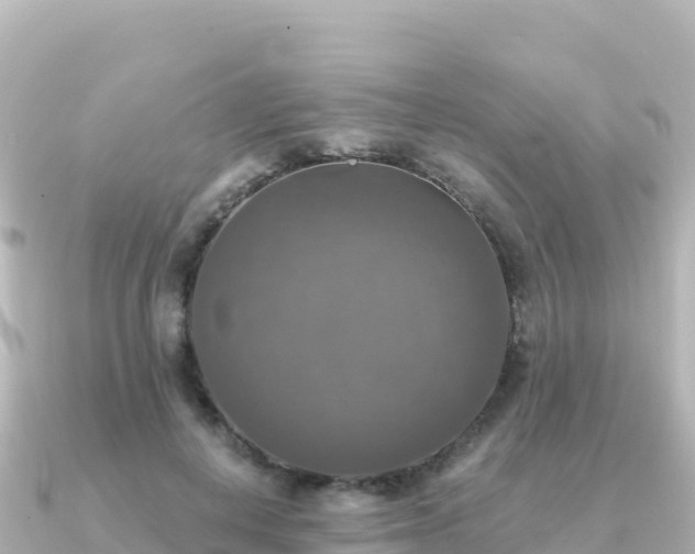 X0000091350648200708101531