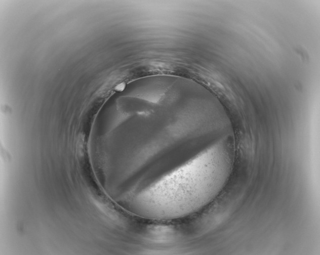 X0000091350649200708101531