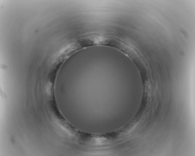 X0000091350650200708101531