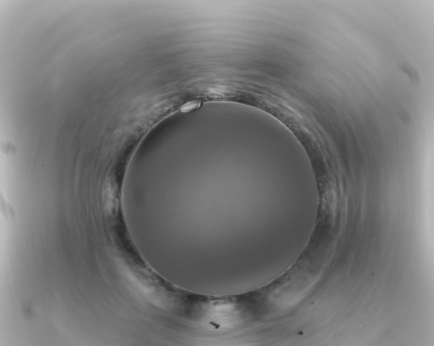 X0000091350651200708101531