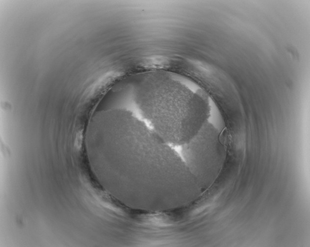 X0000091350652200708101531