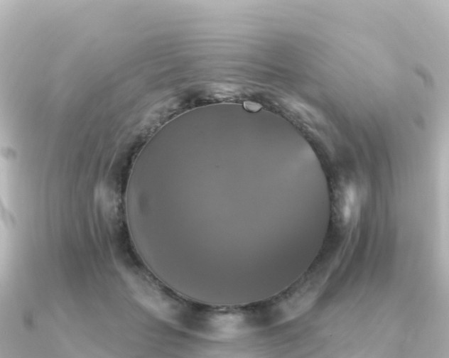 X0000091350653200708101531